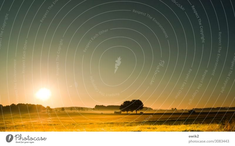 Weiterfahren Umwelt Natur Landschaft Wolkenloser Himmel Sonne Herbst Schönes Wetter Baum Feld leuchten frisch glänzend hell Fernweh Idylle Ferne unterwegs