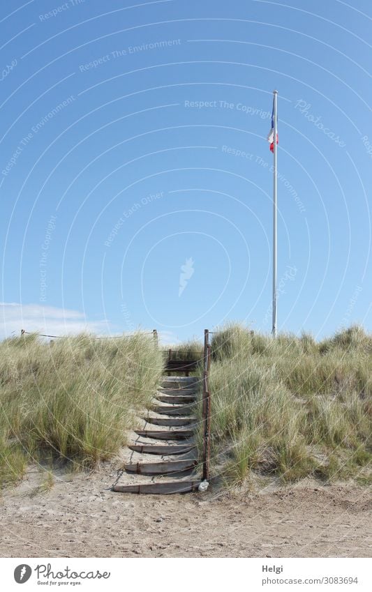 eine Holztreppe mit Geländer führt vom Sandstrand auf eine Düne mit Dünengras und Fahnenmast Umwelt Natur Landschaft Pflanze Himmel Sommer Schönes Wetter Gras