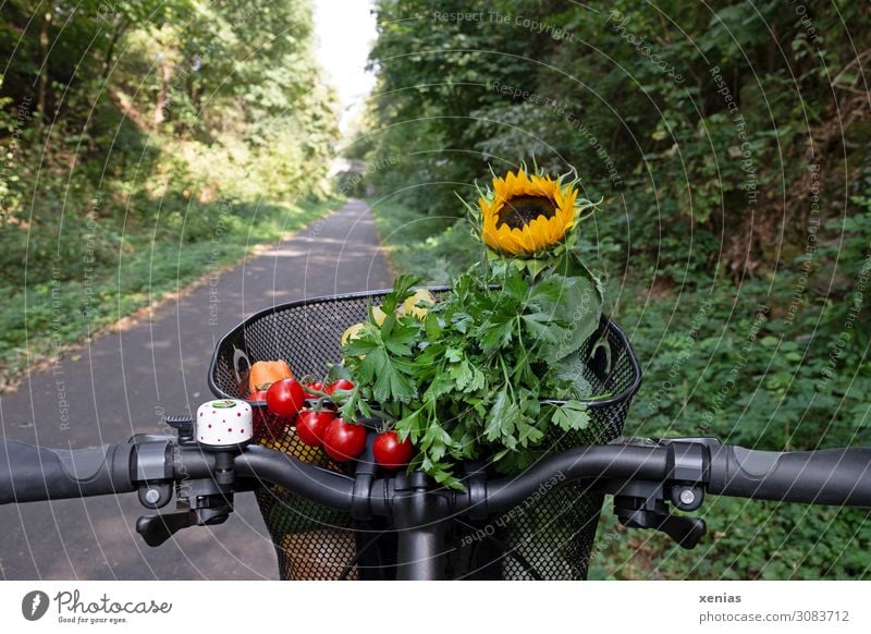 moderner Transport - rote Tomaten, grüne Petersilie und gelbe Sonnenblume liegen in einem Fahrradkorb Gemüse Kräuter & Gewürze Fahrradlenker Bioprodukte