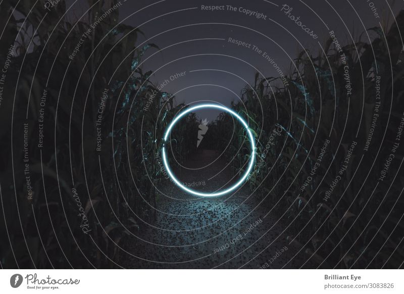 Portal Maisfeld Stil Sommer Landwirtschaft Forstwirtschaft Natur Landschaft Nachthimmel Nutzpflanze Feld leuchten ästhetisch hell rund blau weiß Beginn
