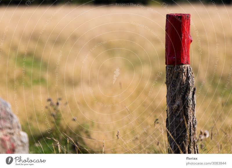 Heideholz I/V Holz Zeichen Schilder & Markierungen Hinweisschild Warnschild leuchten stehen gelb rot Gefühle Akzeptanz Vertrauen geduldig Neugier Abenteuer