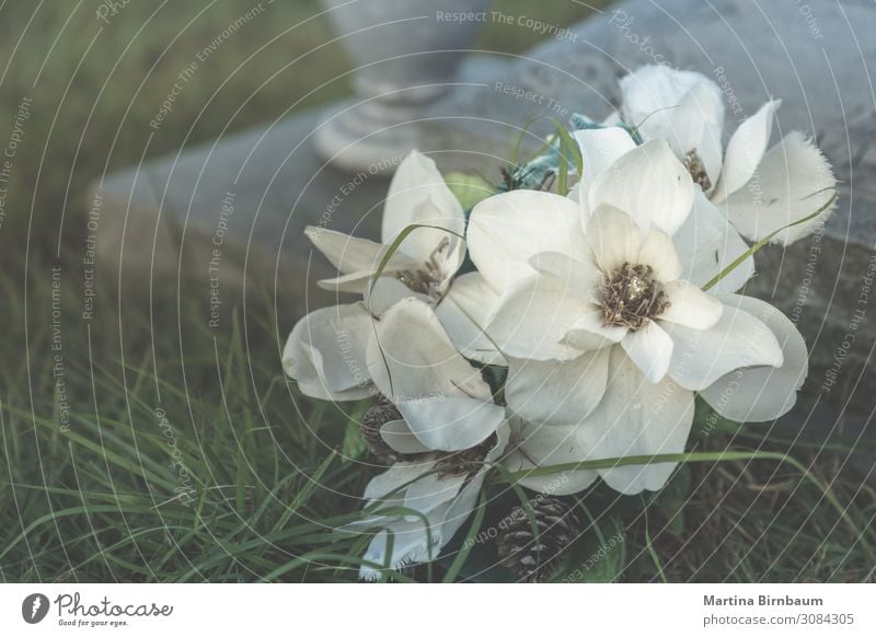 All Saints day - artificial flowers on an old grave Halloween Pflanze Nebel Frieden Religion & Glaube Tradition faith all saints' day remembrance culture fall