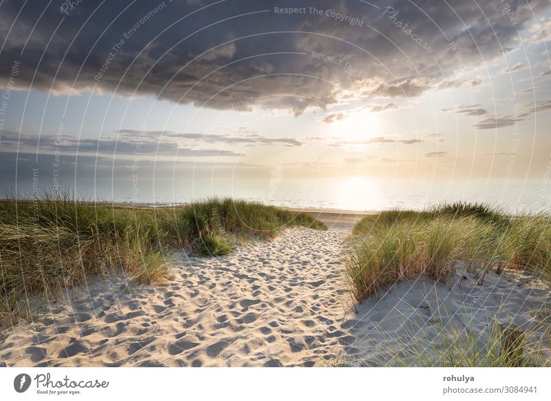 Sandweg zum Nordseestrand bei Sonnenuntergang Ferien & Urlaub & Reisen Tourismus Sommer Strand Meer Natur Landschaft Himmel Horizont Küste einfach Menschen