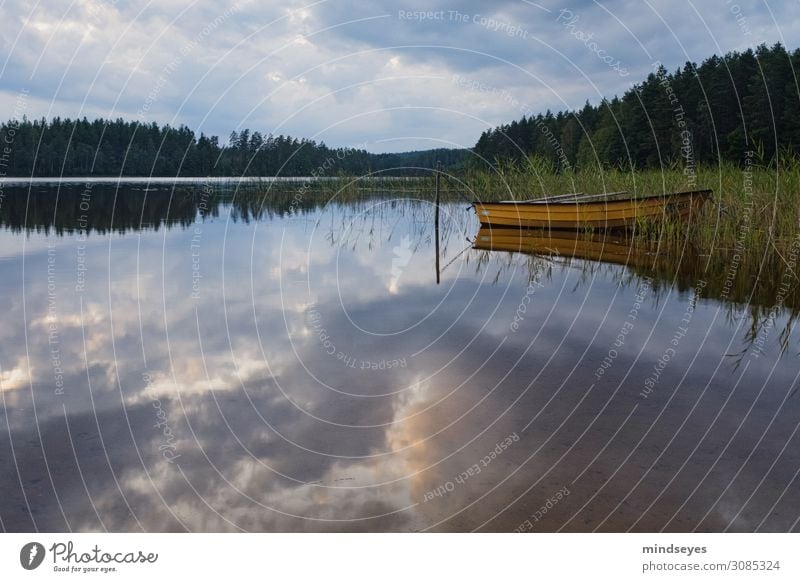 Gelbes Boot am See Natur Landschaft Wasser Wolken Ruderboot atmen Erholung träumen nass Zufriedenheit achtsam ruhig Idylle Ferien & Urlaub & Reisen Umwelt