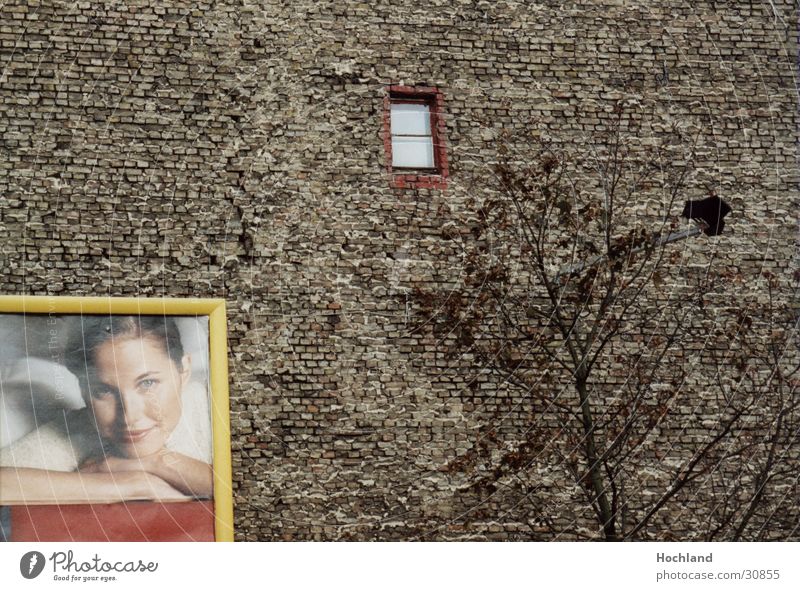 Zieglwand in Berlin Backstein Frau Baum Wand Fenster Architektur Werbung Strukturen & Formen Backsteinwand