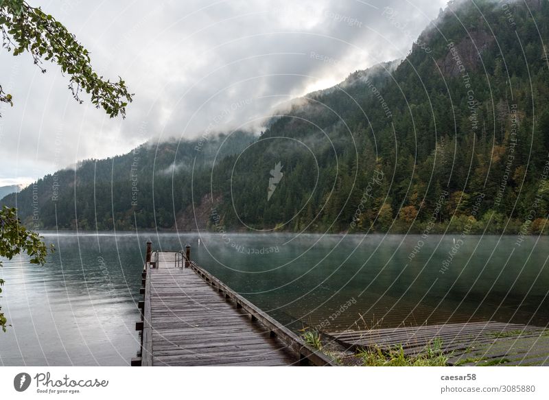 A lake in the Olympic National Park in Washington State, USA Natur Landschaft Wasser Nebel Baum Wald Seeufer Stimmung träumen Olympic-Nationalpark Promenade