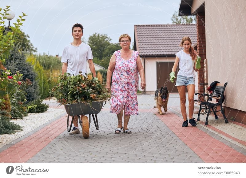 Enkelkinder helfen Großmutter in einem Hausgarten Lifestyle Glück Freizeit & Hobby Sommer Garten Kindererziehung Arbeit & Erwerbstätigkeit Gartenarbeit