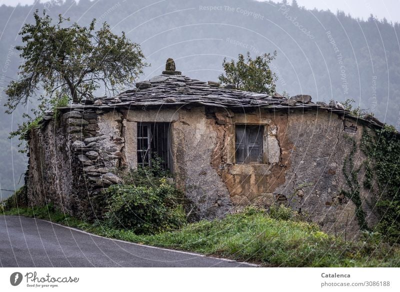 Alt |  ein Haus am Straßenrand Dach Ruine Gebäude Verlassen kaputt Vergänglichkeit Mauer Zerstörung Verfall Wand Fassade Fenster Vergangenheit Architektur