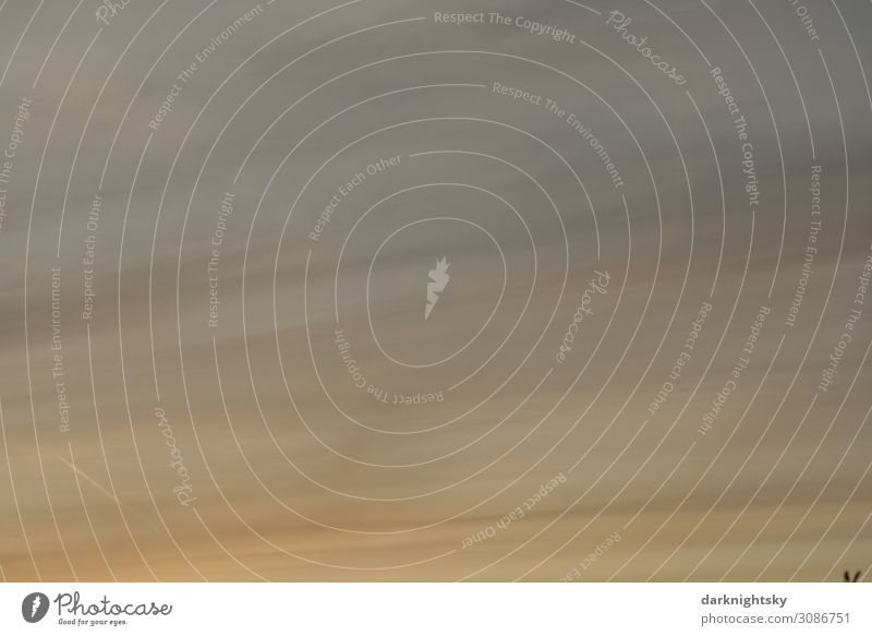 Kondensstreifen und Abendstimmung am Himmel Umwelt Natur Luft nur Himmel Wolken Sonnenaufgang Sonnenuntergang Klima Klimawandel Wetter Schönes Wetter Wind Sturm