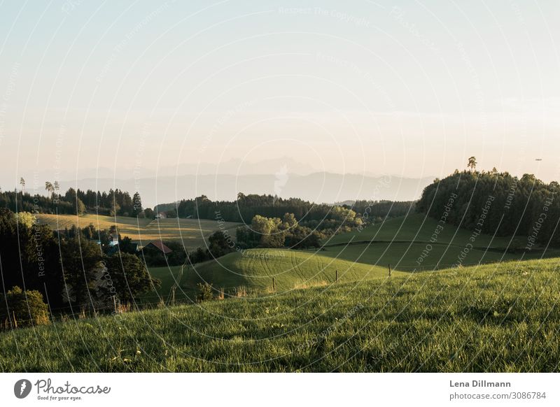 Allgäu Abendstimmung Alpen ausblick wiese feld wiesen wals süddeutschalnd deutschland sommer draußen menschenleer natur hügel Schwabenland weställgau