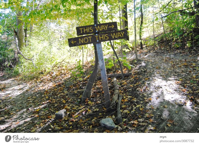 Wegweiser Sport Baum Park Wald Urwald Berge u. Gebirge Verkehr Verkehrswege Fahrradfahren Fußgänger Straßenkreuzung Wege & Pfade Wegkreuzung Verkehrszeichen