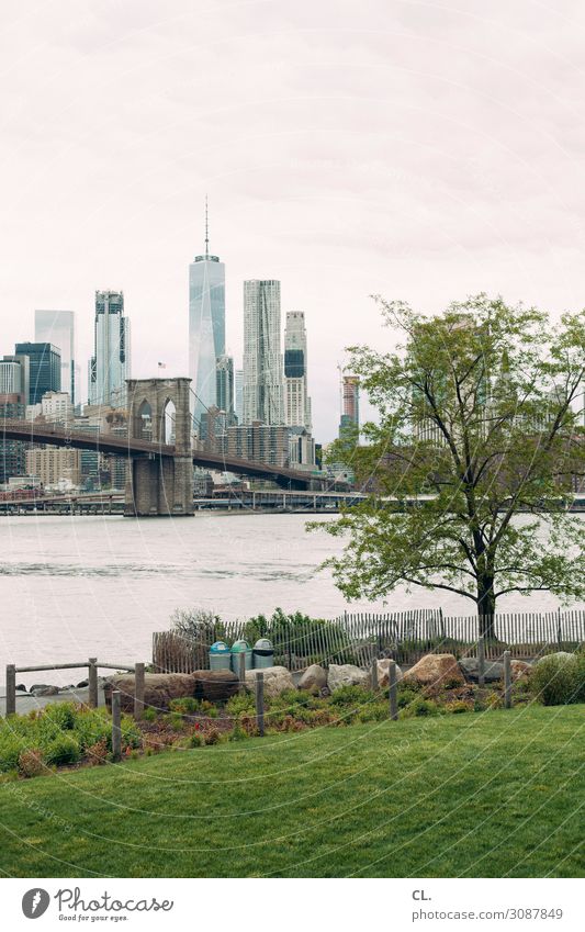 empire fulton ferry park Ferien & Urlaub & Reisen Tourismus Städtereise Wasser Himmel Frühling Baum Gras Park Wiese Fluss Brooklyn Brooklyn Bridge Manhattan