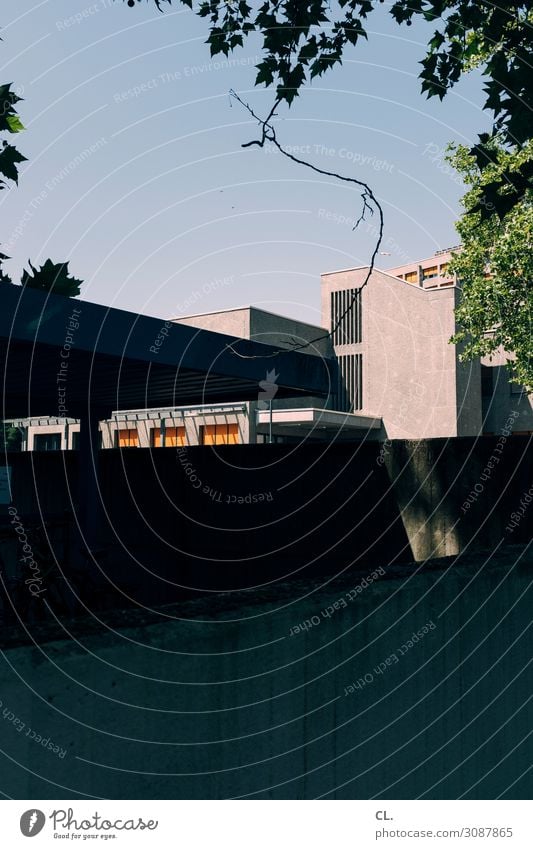 zweig Umwelt Natur Wolkenloser Himmel Schönes Wetter Baum Blatt Zweig Menschenleer Gebäude Architektur Mauer Wand eckig Stadt Farbfoto Außenaufnahme