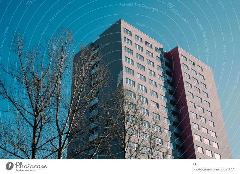 block 2 Wolkenloser Himmel Schönes Wetter Baum Stadt Menschenleer Haus Hochhaus Gebäude Architektur Mauer Wand Fassade groß hoch Häusliches Leben Farbfoto