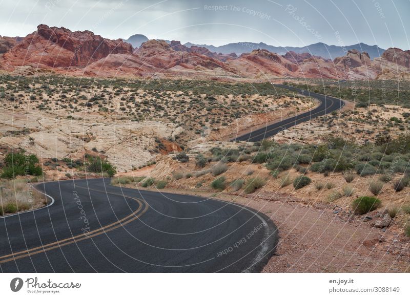 Strasse durch bunte Sandstein Felsen im Valley of Fire Valley of Fire State Park Nevada Usa Amerika Nordamerika Sandsteinformation Felsformation Bunt Erosion