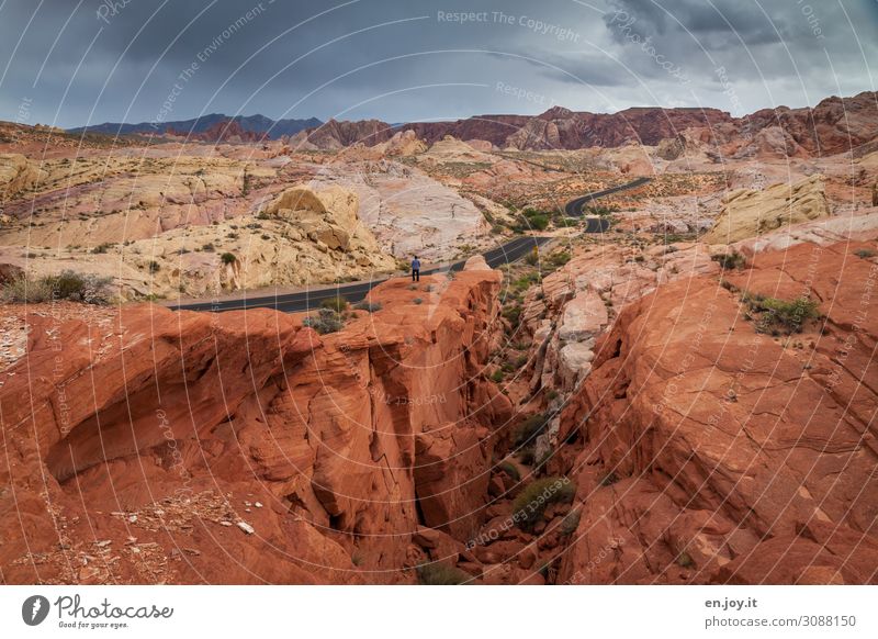 Bunte Sandstein Felsen im Valley of Fire Valley of Fire State Park Nevada Usa Amerika Nordamerika Sandsteinformation Felsformation Erosion Straße Schlucht