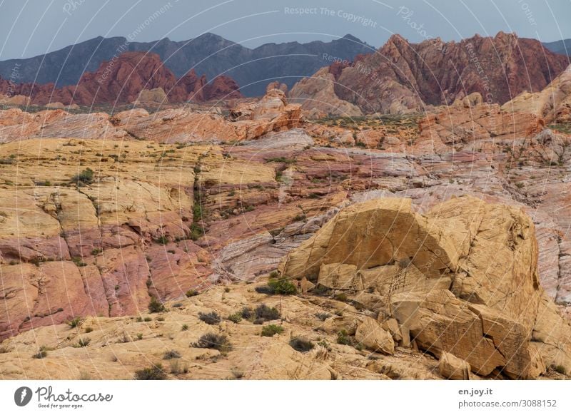 Bunte Sandstein Felsen im Valley of Fire Valley of Fire State Park Nevada Usa Amerika Nordamerika Sandsteinformation Felsformation Erosion Straße Schlucht