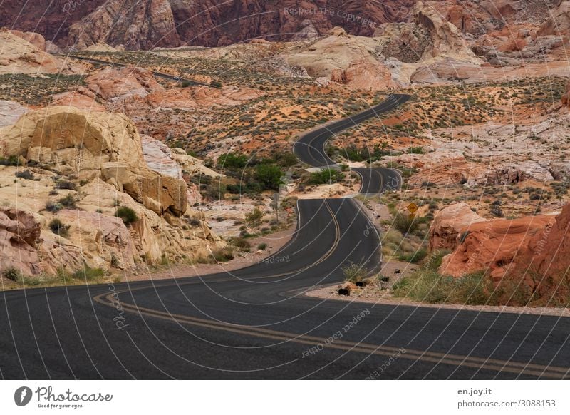 On the road again | im Valley of Fire Ferien & Urlaub & Reisen Ausflug Ferne Natur Landschaft Felsen Verkehrswege Straße außergewöhnlich orange Abenteuer bizarr