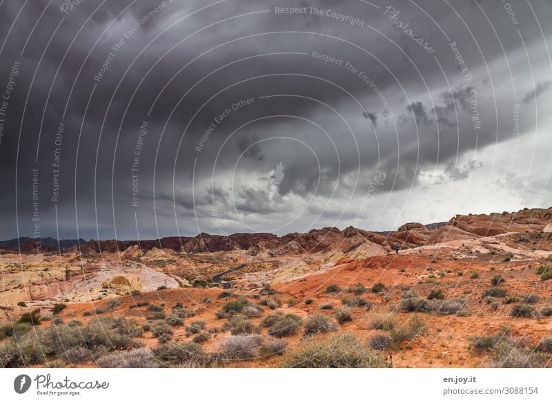 Bunte Sandstein Felsen im Valley of Fire Valley of Fire State Park Nevada Usa Amerika Nordamerika Sandsteinformation Felsformation Erosion Straße Schlucht