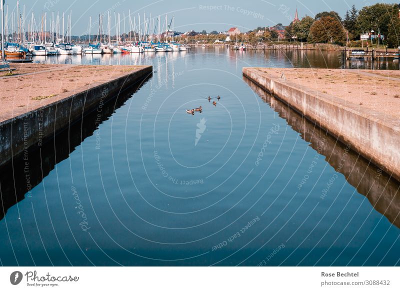 Blick auf den Hafen Ferien & Urlaub & Reisen Tourismus Ausflug Sommer Wassersport Segeln Küste Menschenleer Schifffahrt Binnenschifffahrt Bootsfahrt Segelboot