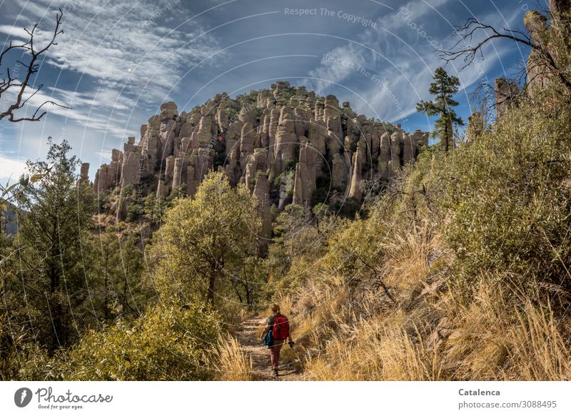 Pfade  in der Felsenlandschaft des Naturschutzgebietes Ausflug Ferne Freiheit Berge u. Gebirge wandern feminin 1 Mensch Landschaft Pflanze Urelemente Himmel