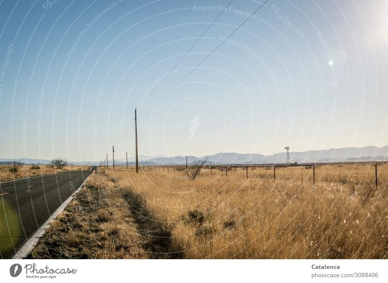 On the road again | on the way to nowhere; eine einsame Landstraße Hochspannungsleitung Strommast Kabel Landschaft Erde Wolkenloser Himmel Horizont Winter