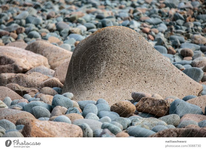 Bretonische Küste und Strand mit Granitfelsen an der Cote de Granit Rose - Rosa Granitküste Bretagne breton bretonisch Frankreich Europa Côte de Granitrose