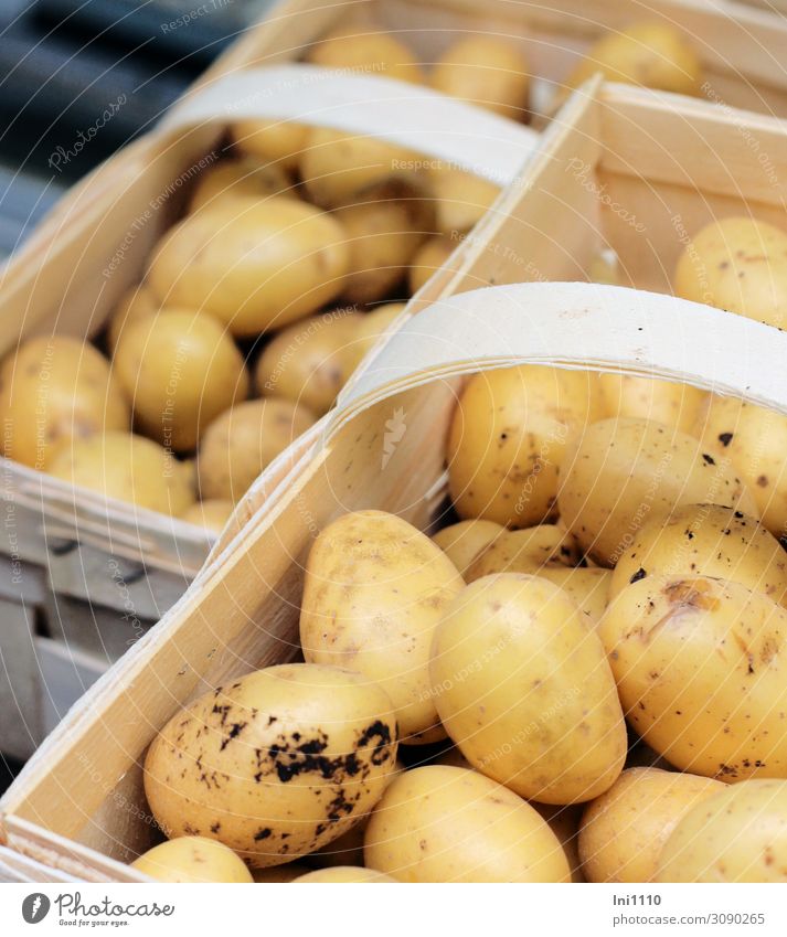 Kartoffeln Gemüse Ernährung Bioprodukte Vegetarische Ernährung Verpackung Holz gelb weiß Herbst Erntedankfest Korb Spankorb lecker Markt Gesunde Ernährung