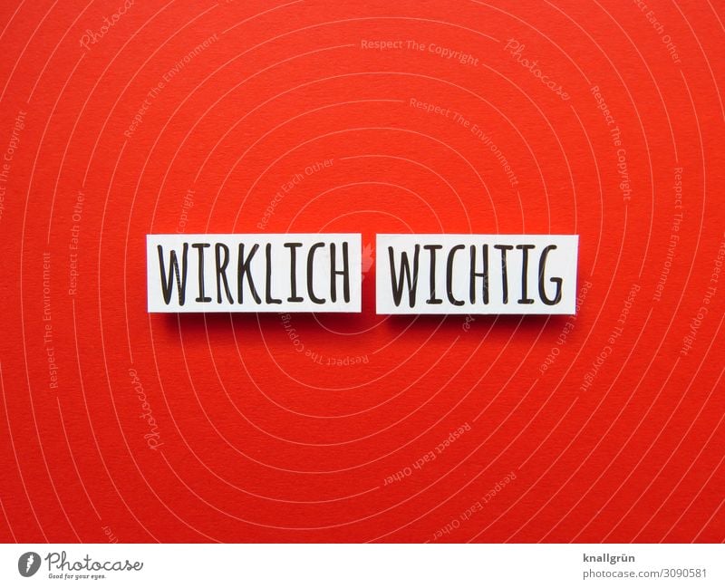 Wirklich wichtig Kommunizieren Gefühle Kommunikation Buchstaben Wort Satz Typographie Schriftzeichen Letter Text Sprache Lateinisches Alphabet Verständigung