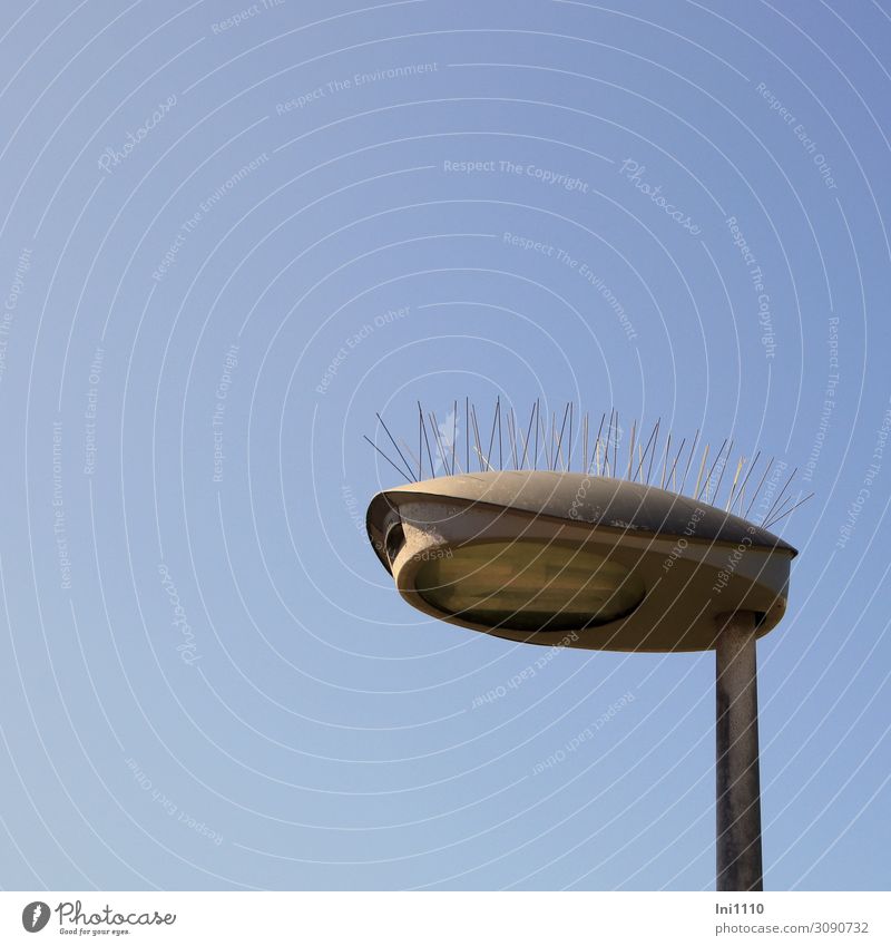 Möwen hier nicht erwünscht Werkzeug Nagel Energiewirtschaft Straßenbeleuchtung Himmel Wolkenloser Himmel Wärme Küste Strand Nordsee Menschenleer blau grau