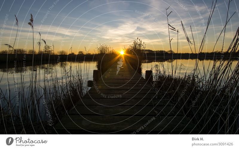 Sundowner Natur Landschaft Wasser Himmel Sonne Sonnenaufgang Sonnenuntergang Sonnenlicht Frühling Küste Seeufer Flussufer Ostsee Moor Sumpf Teich beobachten