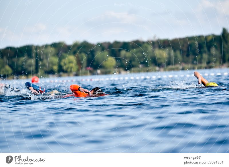 Triathlon Schwimmen sportlich Sport Sportler Sportveranstaltung Schwimmen & Baden See Mensch 5 Menschengruppe 18-30 Jahre Jugendliche Erwachsene 30-45 Jahre