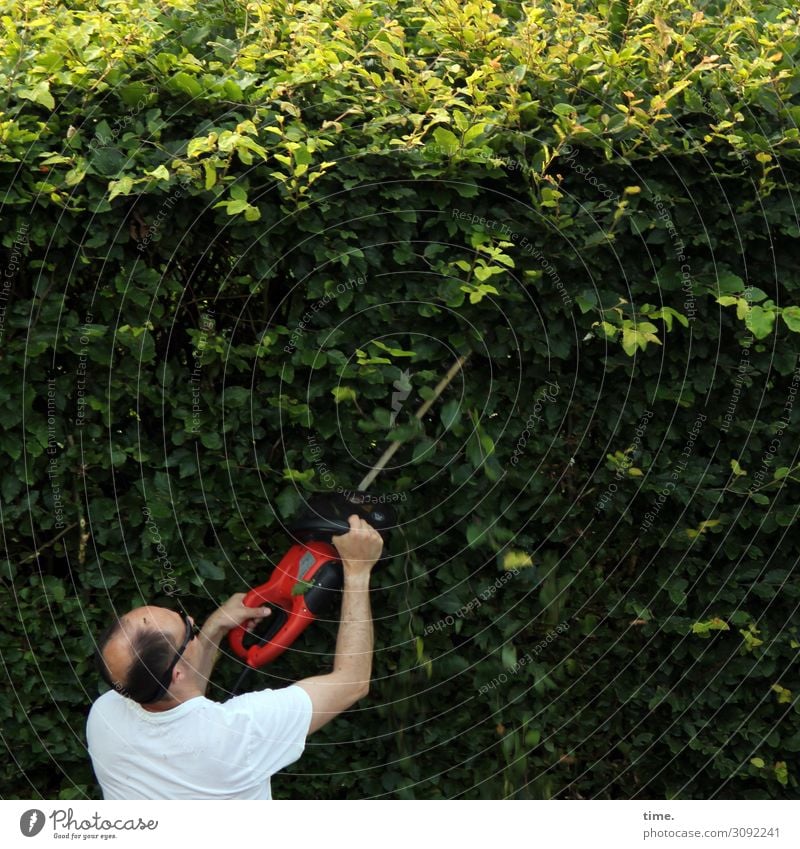 Vorsicht, scharf! - Heckenschnitt de luxe Arbeit & Erwerbstätigkeit Handwerker Gartenarbeit Arbeitsplatz maskulin Mann Erwachsene 1 Mensch Umwelt Natur Sommer