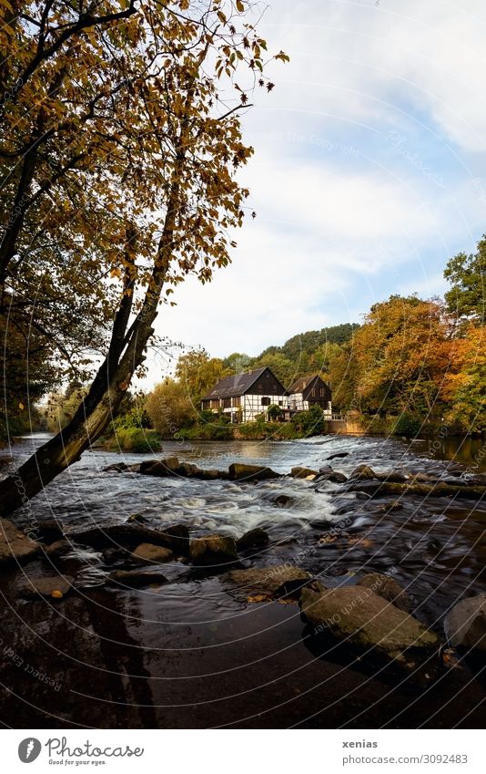 Im Bergischen Land, NRW: Wipperkotten im Herbst Haus Maschine Natur Landschaft Baum Fluss Wupper Solingen Bergisches Land Nordrhein-Westfalen Schleiferei Kotten