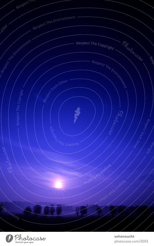 horizont01_kein sonnenuntergang schwarz Horizont Baum Nebel blau Himmel Erde Sonne