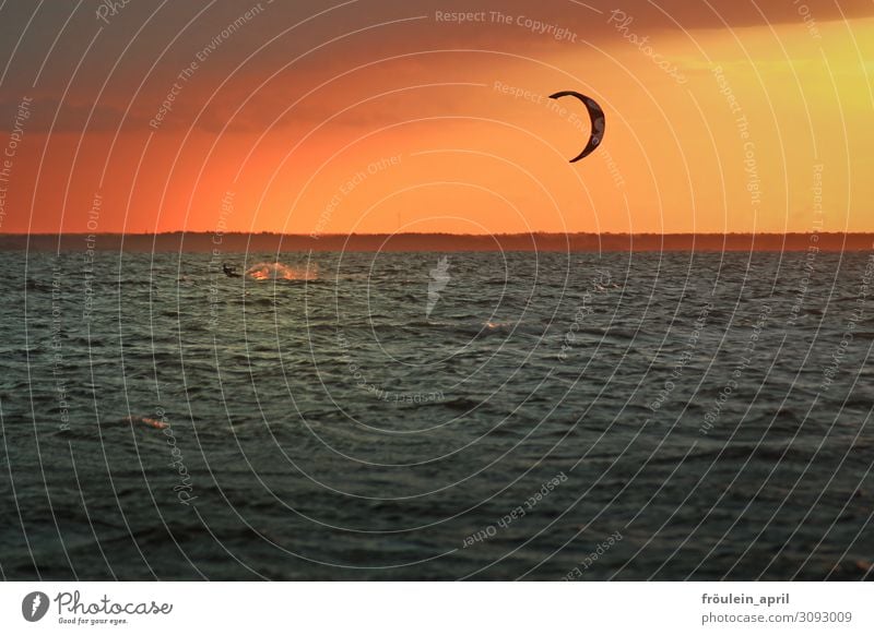 Kitesurfer im Abendlicht Sport kiteboarding Sport-Training Fitness sportlich Freizeit & Hobby Abenddämmerung Abendstimmung Wasser Meer orange Himmel