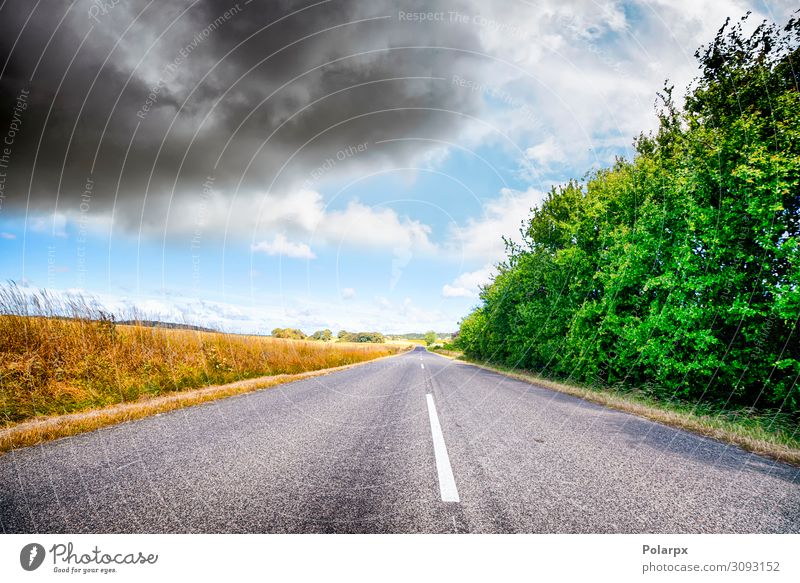 Asphaltstraße in einer ländlichen Landschaft Ferien & Urlaub & Reisen Ausflug Sommer Natur Himmel Wolken Wetter Baum Gras Park Wiese Hügel Verkehr Straße