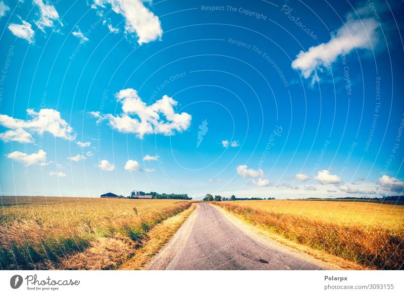 Straße, die im Sommer zu einem Bauernhof führt. schön Ferien & Urlaub & Reisen Sonne Natur Landschaft Erde Himmel Wolken Baum Gras Blatt Wiese Verkehr