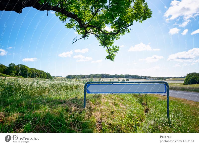 Verkehrszeichen mit einem Pfeil in idyllischer Natur Ferien & Urlaub & Reisen Ausflug Abenteuer Sommer wandern Landschaft Himmel Baum Gras Wiese Wald Straße