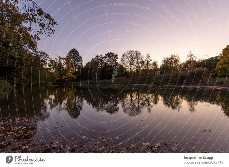 Der Tag geht.... Natur Landschaft Sonnenaufgang Sonnenuntergang Schönes Wetter Park Erholung Farbfoto Außenaufnahme Dämmerung Reflexion & Spiegelung