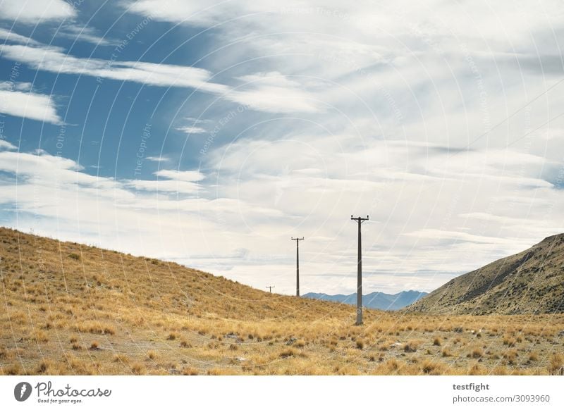 prärie Umwelt Natur Landschaft Pflanze Tier Himmel Wolken Gras Sträucher Ferien & Urlaub & Reisen Hügel Berge u. Gebirge Strommast Steppe Aussicht Farbfoto