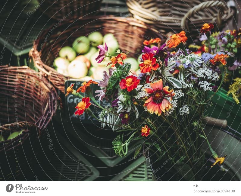 Herbststräuße Gemüse Frucht Bioprodukte kaufen Wohlgefühl Zufriedenheit Sommer Umwelt Pflanze Blume blau braun grau orange rot Markt Wochenmarkt Blumenstrauß