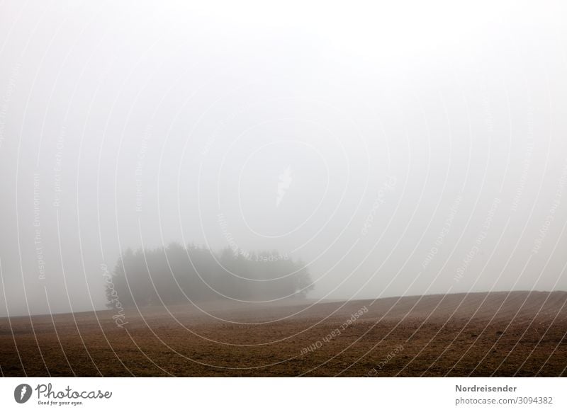 Herbst über den Feldern Ausflug Natur Landschaft Erde Luft Wetter schlechtes Wetter Nebel Regen Baum Wald Hügel wandern dunkel kalt nass trist Einsamkeit Klima