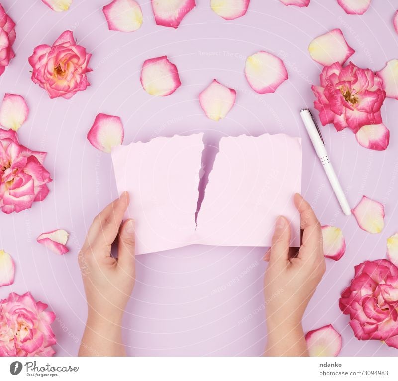 zwei Hände halten ein leeres rosa Blatt. Design schön Sommer Dekoration & Verzierung Feste & Feiern Hochzeit Geburtstag Hand Pflanze Blume Blüte Papier