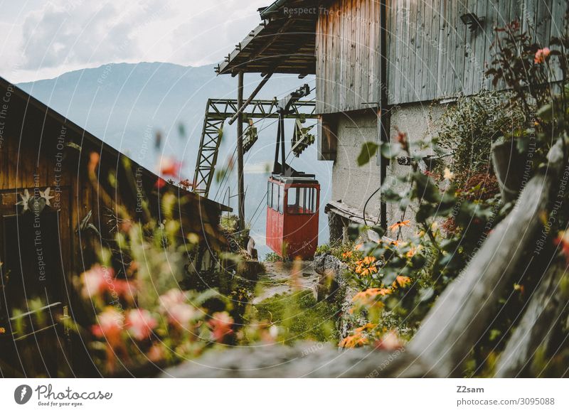 Alte Gondel in Südtirol Riesenrad Gondellift Natur Landschaft Sommer Schönes Wetter Blume Sträucher Alpen Berge u. Gebirge Hütte alt Kitsch nachhaltig natürlich