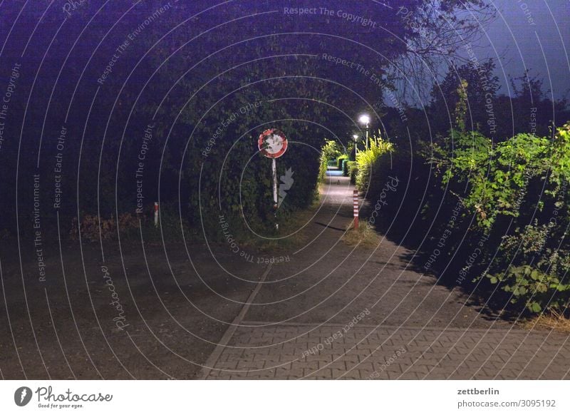 Vor den Toren (mit Katze) Garten Wege & Pfade Gartenweg Straße Abend Nacht dunkel Hecke Nachbar Licht Laterne Straßenbeleuchtung Beleuchtung