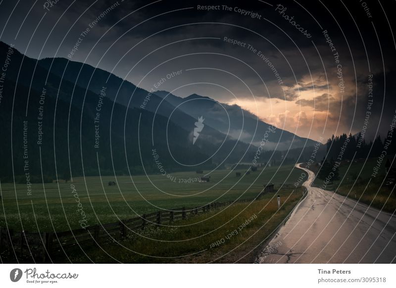 Die Straße ins Licht Umwelt Natur Landschaft Himmel Wolken Gewitterwolken Sonnenaufgang Sonnenuntergang Sommer Wetter schlechtes Wetter Regen Wiese Wald Alpen