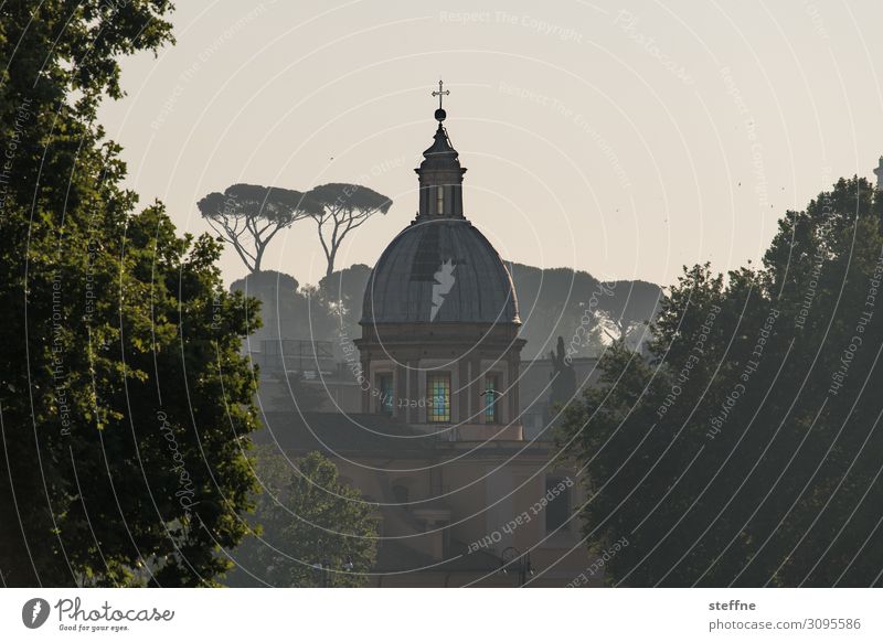 Chiesa di San Girolamo dei Croati Natur Sommer Baum Skyline Religion & Glaube Rom Italienisch lebenswert dolce vita Kirche Kuppeldach Pinie grüne lunge Park