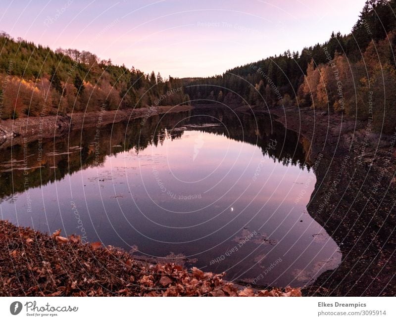 Herzförmiges Gewässer im Abendlicht Natur Landschaft Urelemente Erde Wasser Himmel Herbst Schönes Wetter natürlich braun rosa Talsperre Farbfoto Außenaufnahme