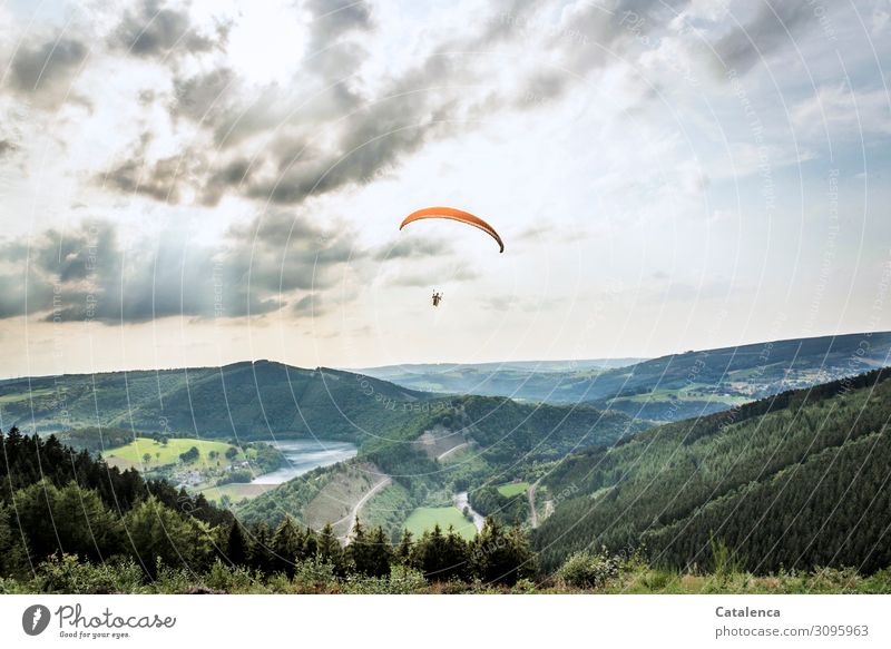 Ein Paragleiter schwebt über die hügelige Landschaft, man sieht einen Stausee, Wiesen, Wälder Natur Pflanze Gras Bäume Hügel Person Gleitschirm Schirm Freude